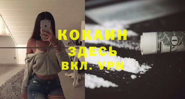 молекула духа Зеленодольск