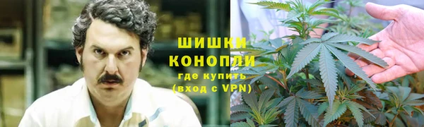 твердый Иннополис
