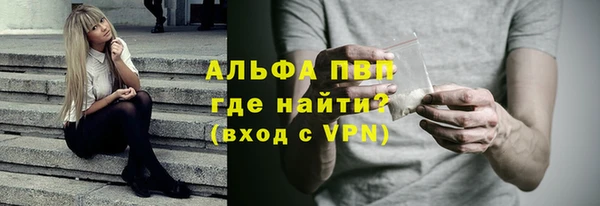 сатива Зеленокумск