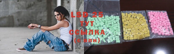 спиды Инта