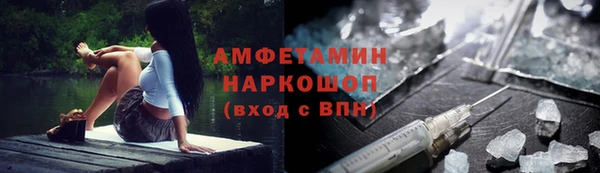 сатива Зеленокумск