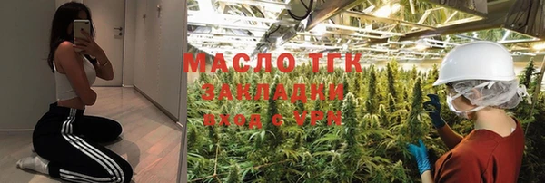 молекула духа Зеленодольск