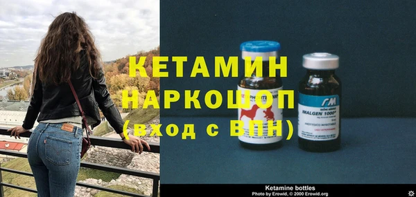 сатива Зеленокумск