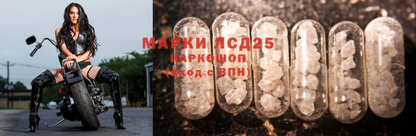 амф Инсар