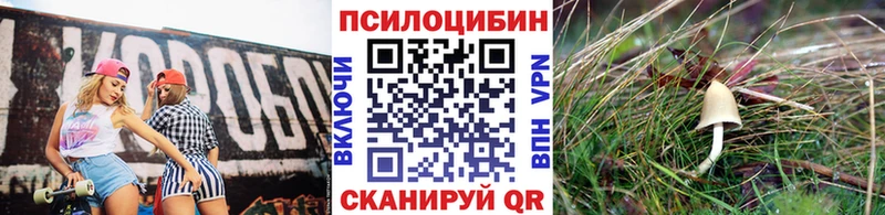 Купить  Дмитровск  Галлюциногенные грибы ЛСД 